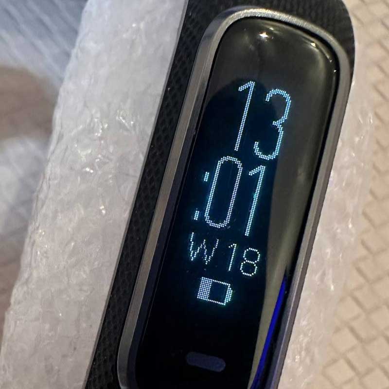 Garmin Smart Activity Tracker / Size S-M VIVOSMART 4